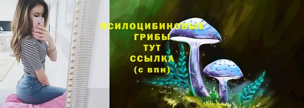 Альфа ПВП Анива